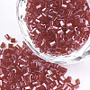 FGB Grade A Glass Seed Beads SEED-S022-03E-1