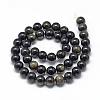 Natural Golden Sheen Obsidian Beads Strands G-R446-10mm-22-2