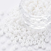 6/0 Glass Seed Beads SEED-T005-14-B16-3