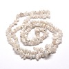 Natural Rainbow Moonstone Chip Bead Strands X-G-M205-62-2