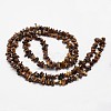 Chips Natural Tiger Eye Beads Strands G-N0164-66-3