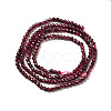 Natural Garnet Beads Strands G-I341-09A-3