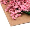 Dried Flower DIY-B018-10-2