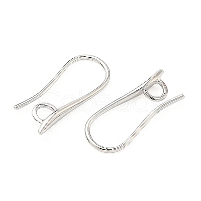 SHEGRACE Brass Earring Hooks XGR0003P-42P-1