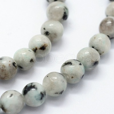 Natural Sesame Jasper/Kiwi Jasper Beads Strands G-I199-29-10mm-1