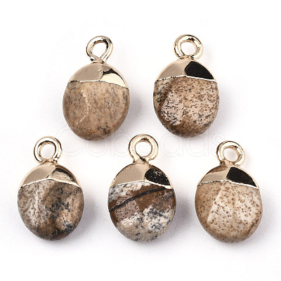 Natural Picture Jasper Charms G-N326-58D-1