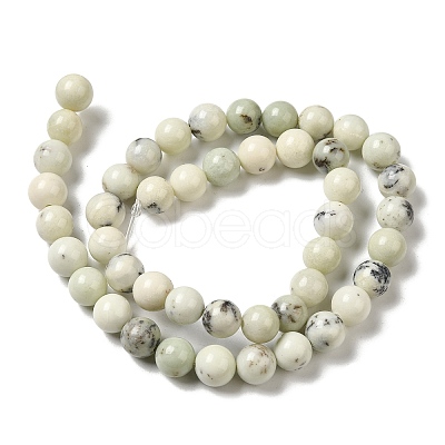 Natural Dendritic Jasper Beads Strands G-H298-A15-03-1