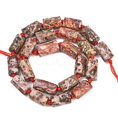 Natural Red Leopard Skin Jasper Beads Strands G-A314-A05-01-1