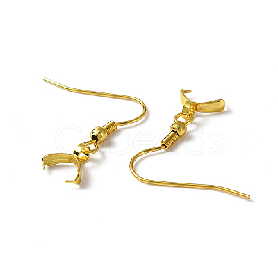 304 Stainless Steel Earring Hooks STAS-WH0035-14G-1