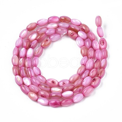 Freshwater Shell Beads Strands SHEL-T009-B15-03-1