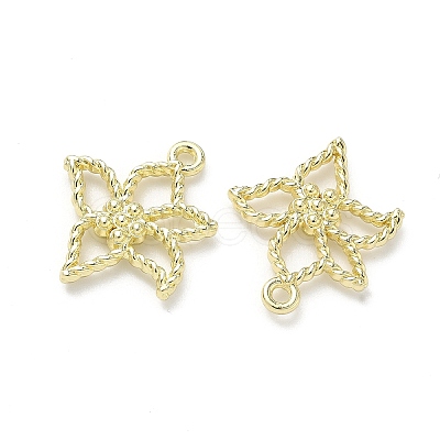 Alloy Pendants FIND-Z108-05LG-1