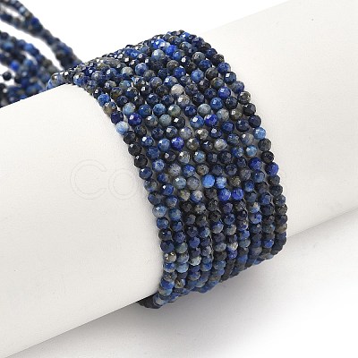 Natural Lapis Lazuli Bead Strands G-G936-2mm-22-1