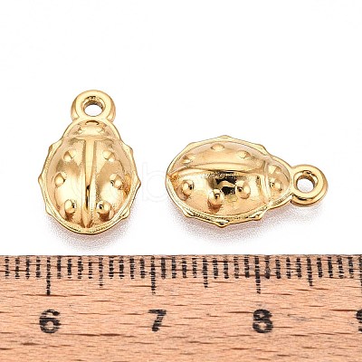 304 Stainless Steel Pendants STAS-T067-59G-1