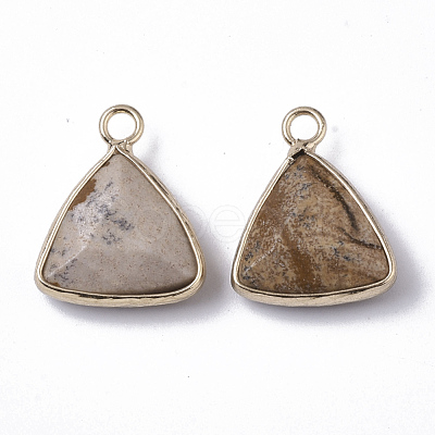 Natural Picture Jasper Pendants G-S359-029D-1