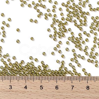 TOHO Round Seed Beads SEED-XTR11-0246-1