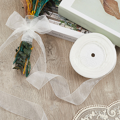 1 Rolls Sheer Organza Ribbon SRIB-CY0001-22B-03-1