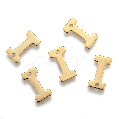 304 Stainless Steel Charms STAS-P141-I-1
