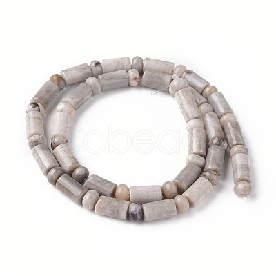 Natural Silver Leaf Jasper Beads Strands G-L528-02-1