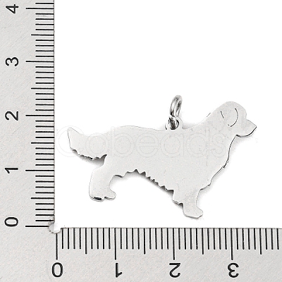Non-Tarnish 304 Stainless Steel Pendants STAS-E205-10P-1