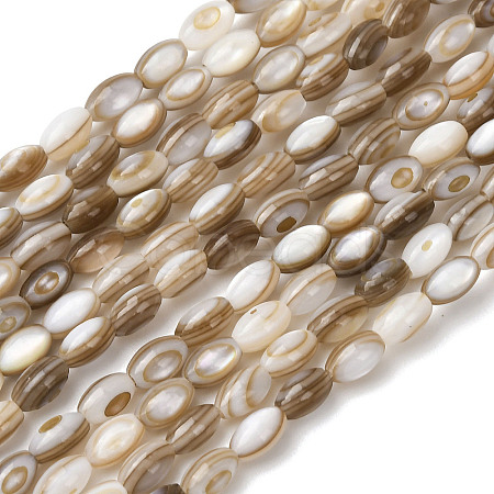 Natural Freshwater Shell Beads Strands SHEL-K006-78B-1