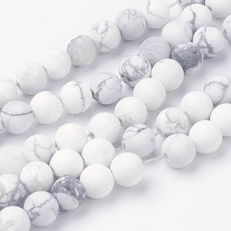 Natural Howlite Bead Strands G-G735-66F-8mm-1