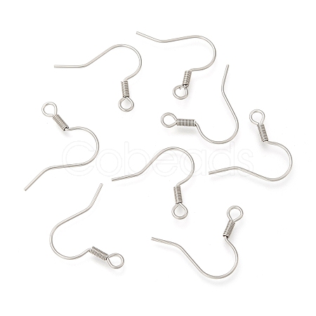 Tarnish Resistant 316 Surgical Stainless Steel Earring Hooks X1-STAS-E009-2-1