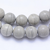 Natural Silver Line Jasper Beads Strands G-F531-6mm-O-3