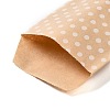 Kraft Paper Bags LS-CARB-I001-04C-3