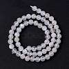 Natural Rainbow Moonstone Beads Strands G-I249-B04-04-2