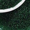 MIYUKI Round Rocailles Beads X-SEED-G009-RR0156F-1