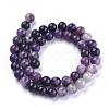 Natural Lepidolite/Purple Mica Stone Beads Strands G-K415-8mm-3