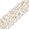 Natural Cultured Freshwater Pearl Beads Strands PEAR-E016-143-1