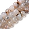 Natural Dendritic Agate Beads Strands G-A248-A07-07-2