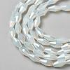 Imitation Opalite Glass Beads GLAA-P001-06A-01-2