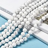 Natural Howlite Beads Strands X-G-D696-8mm-5