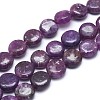 Natural Lepidolite/Purple Mica Stone Beads Strands G-F626-04-1