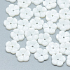 Freshwater Shell Beads SHEL-S275-015-1