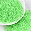 8/0 Inside Colours Transparent Glass Seed Beads SEED-T007-06D-3