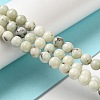 Natural Dendritic Jasper Beads Strands G-H298-A15-03-2