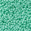 MIYUKI Round Rocailles Beads SEED-G008-RR4472-3
