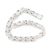Handmade Lampwork Beads Strands LAMP-F029-02C-2