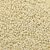 TOHO 11/0 Round Beads X-SEED-TR11-0051F-2