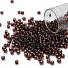 TOHO 6/0 Round Beads X-SEED-TR06-0026C-1