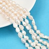 Natural Cultured Freshwater Pearl Beads Strands PEAR-P064-20J-01A-1
