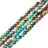 1 Strand Natural Turquoise Beads Strands G-TA0003-46-3