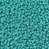 MIYUKI Delica Beads X-SEED-J020-DB0759-3