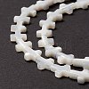 Natural Trochid Shell/Trochus Shell Beads SSHEL-O0001-22B-3