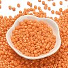 Baking Paint Pearlized Glass Seed Beads SEED-C001-04A-19-2