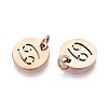 304 Stainless Steel Charms STAS-Q201-T445-4R-2