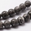 Natural Map Stone/Picasso Stone/Picasso Jasper Bead Strands X-G-D840-60-8mm-3